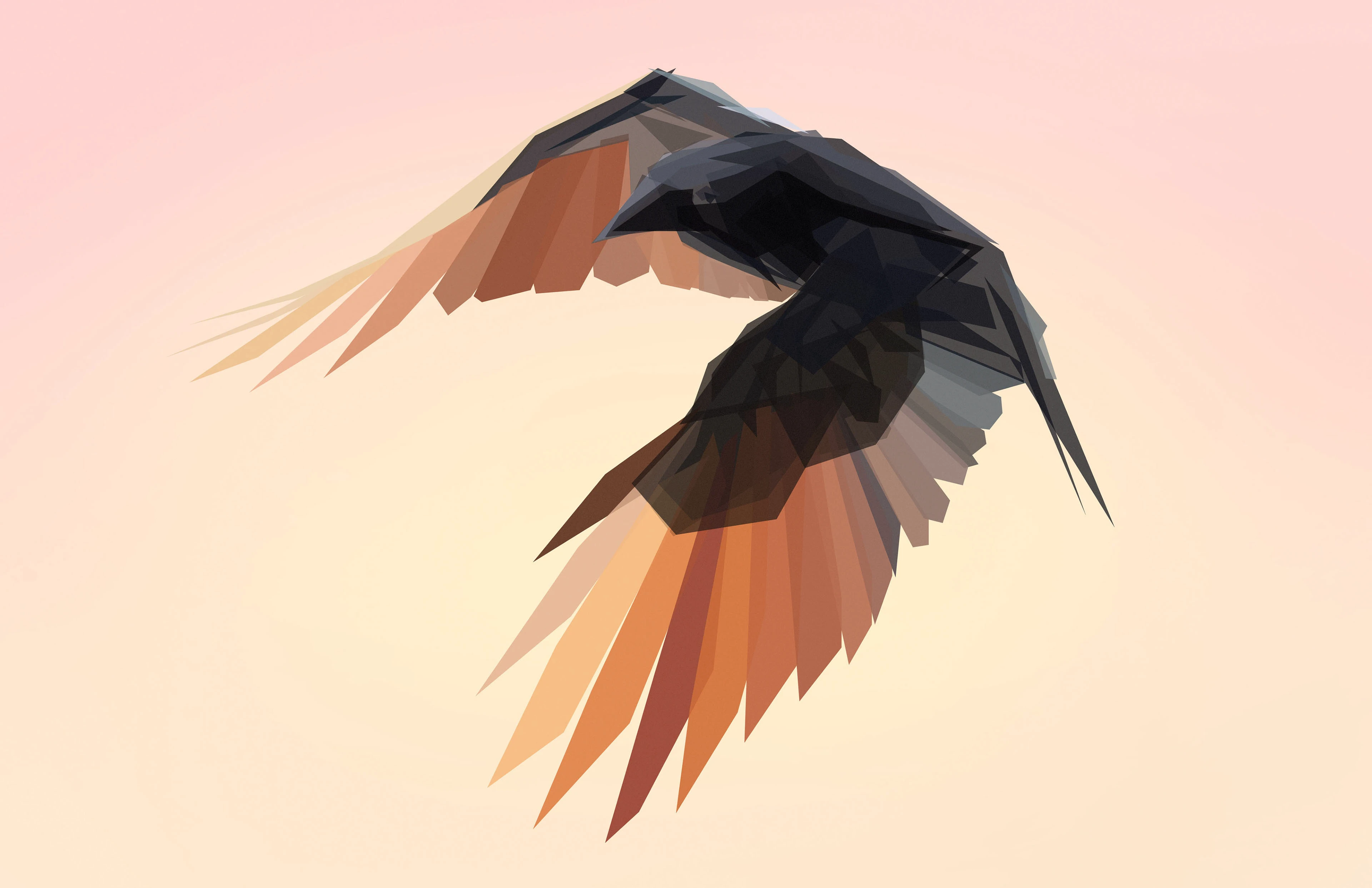 Geometric hummingbird