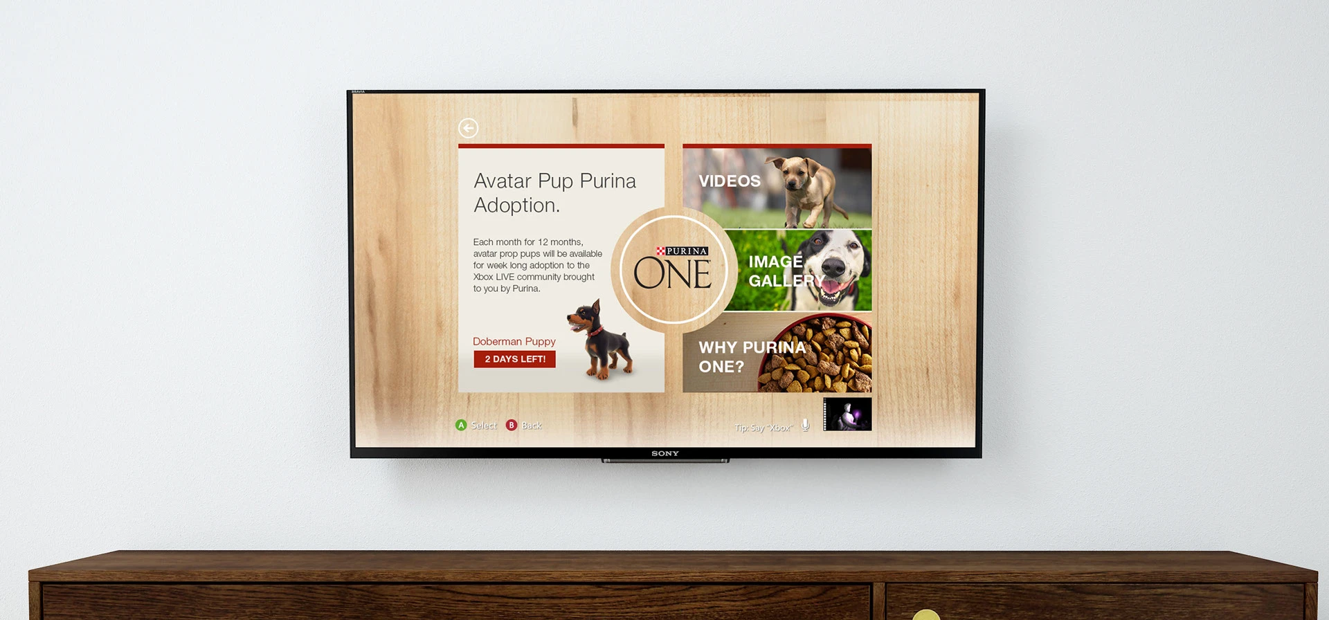 Purina One — connected TV